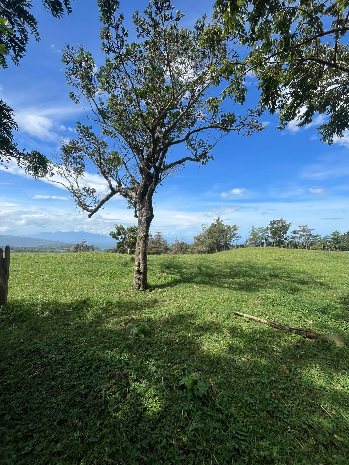 Fotografía de Terrenos con vista al Golfo de Nicoya en Piedades Sur