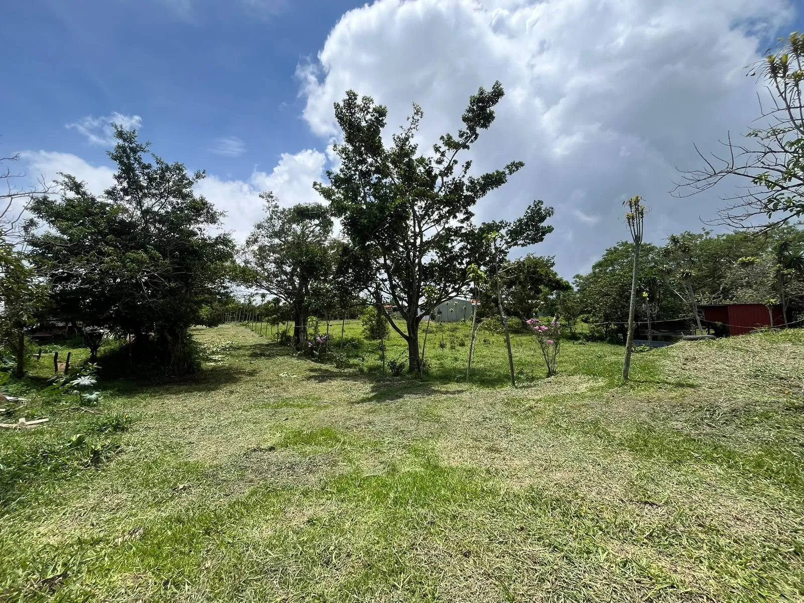 📐 Terreno de 1.060 m² en venta, ubicado en Potrerillos, Piedades Sur, San Ramón, tranquilo y con excelente privacidad. — fotografía adicional
