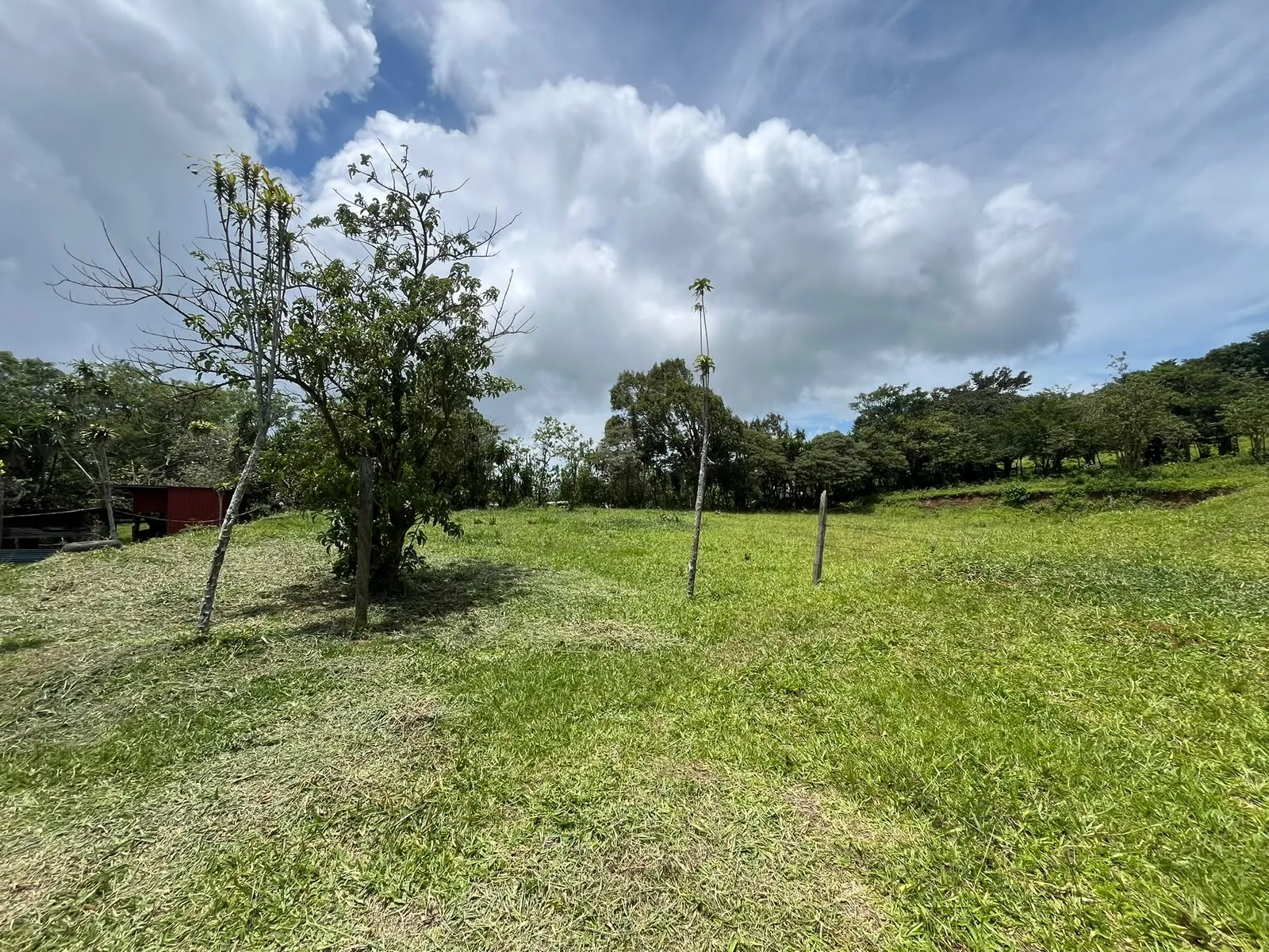 📐 Terreno de 1.060 m² en venta, ubicado en Potrerillos, Piedades Sur, San Ramón, tranquilo y con excelente privacidad. — fotografía adicional